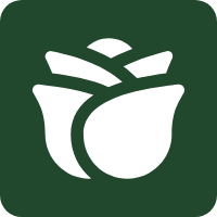 Naturopatía Curativa